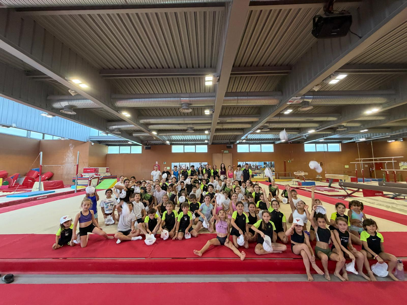 Toda la familia Fénix